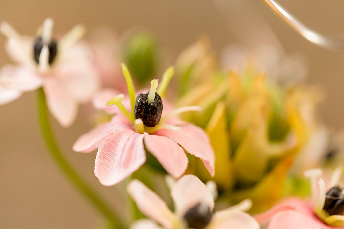 Blumen zur Trauerfeier – würdiger Abschied und liebevolles Gedenken