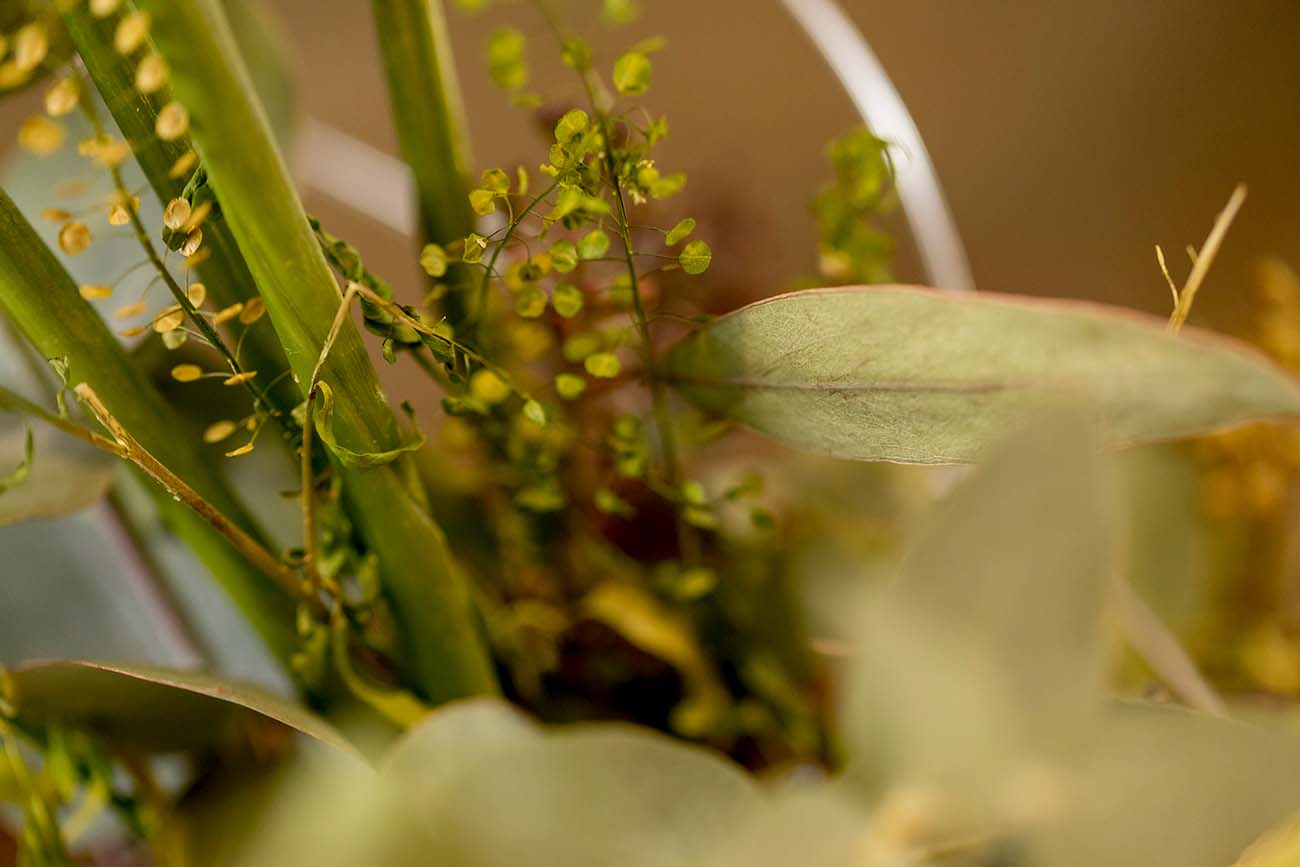 Vorgespräch zur Trauerrede im Westerwald – Erinnerungen sammeln und Struktur finden